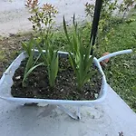 Casita A Estrenar En Con Rio Y Piscina Proxima A Gondomar Y Portugal *