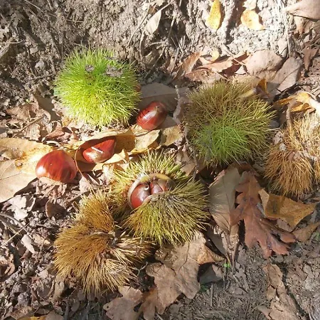 Apartamento Casita A Estrenar En Con Rio Y Piscina Proxima A Gondomar Y Portugal