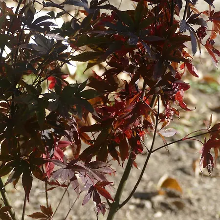 Casita A Estrenar En Con Rio Y Piscina Proxima A Gondomar Y Portugal Tui