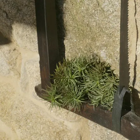 Casita A Estrenar En Con Rio Proxima A Tui, Gondomar Y Portugal.