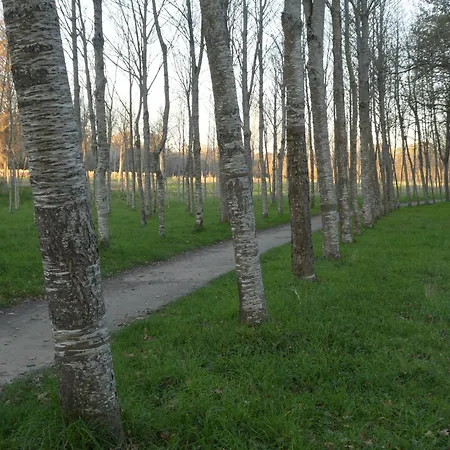 Casita A Estrenar En Con Rio Y Piscina Proxima A Gondomar Y Portugal Tui