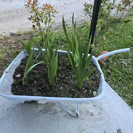 Casita A Estrenar En Con Rio Proxima A Tui, Gondomar Y Portugal. *