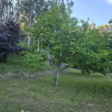 Casita A Estrenar En Con Rio Proxima A Tui, Gondomar Y Portugal. * Tui